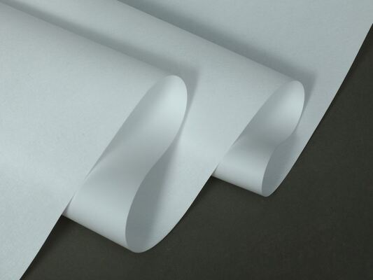 Quality XINXIA-E20WO-E Waterproof Breathable Vent Membrane for Automotive & Consumer Electronics factory